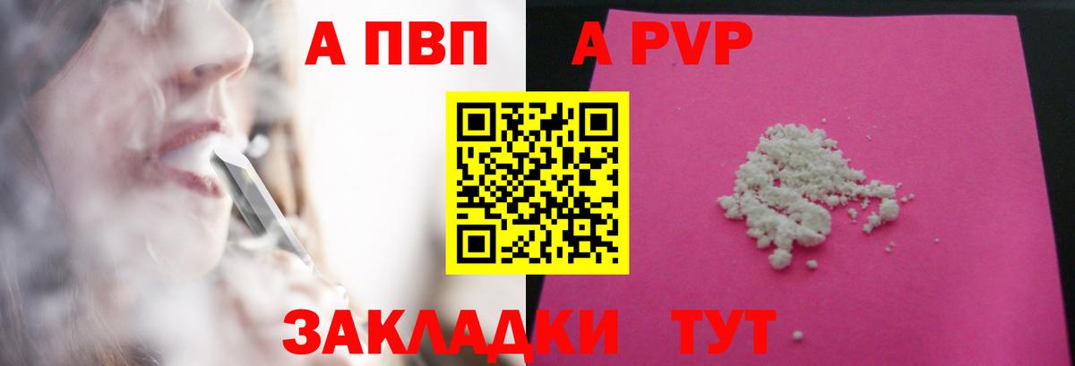 Альфа ПВП СК Элиста