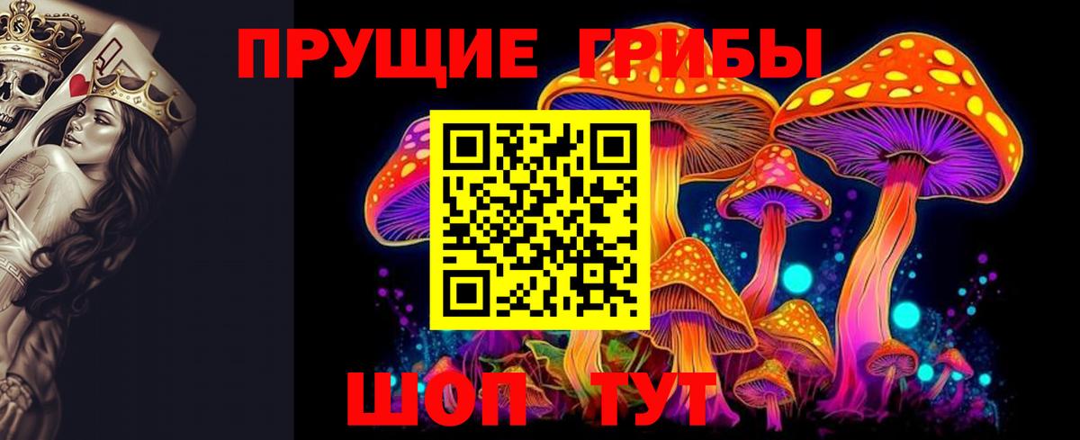 Псилоцибиновые грибы Cubensis Элиста